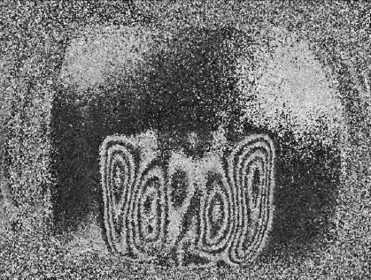 Spring TDC NEwsletter 2.jpg